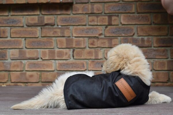 Didgeridoonas Dog Coat